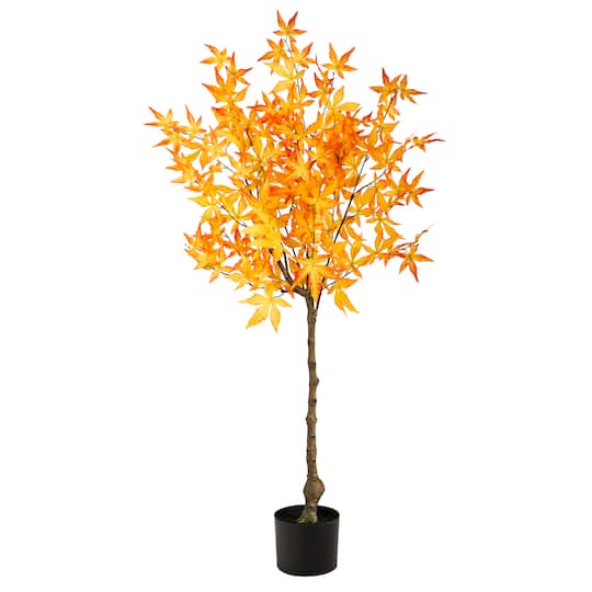4ft. Potted Yellow Autumn Maple Tree